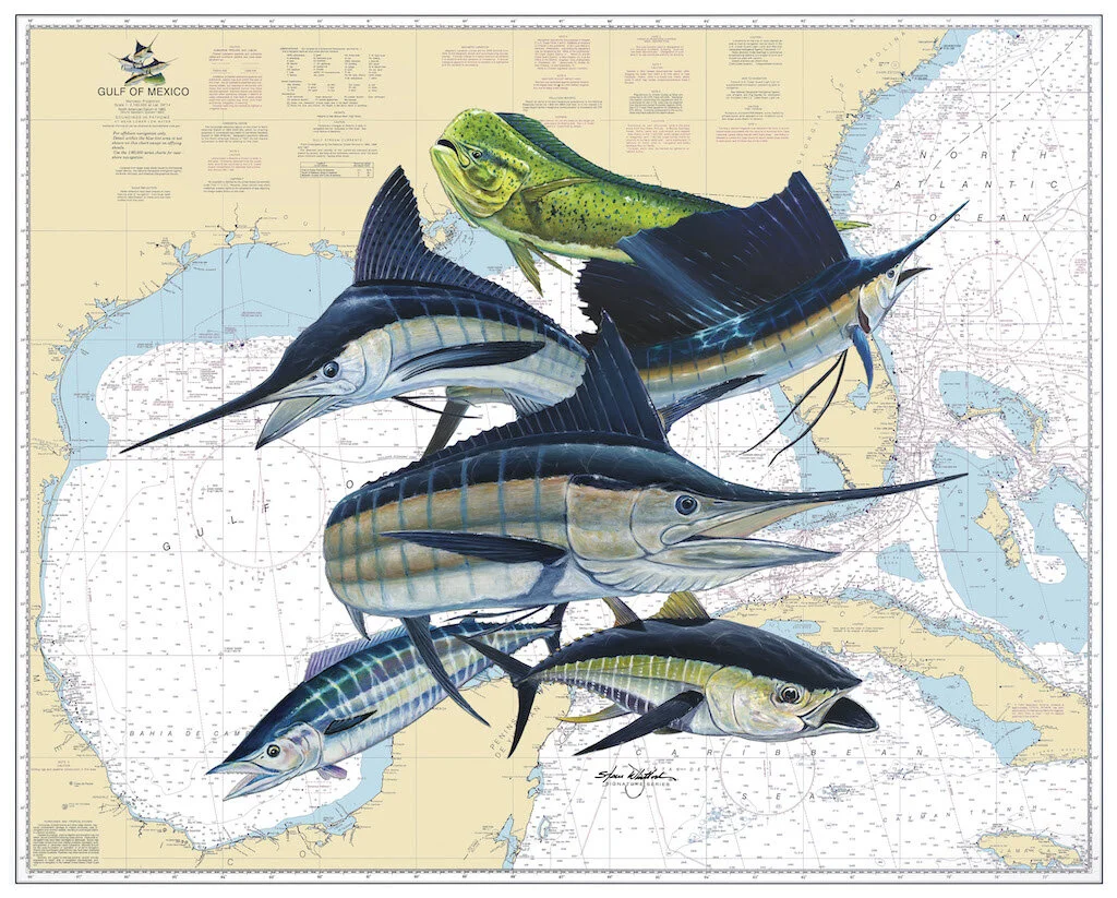 Pets and Animal Kingdom “Gulf Slam Offshore” by Steve Whitlock